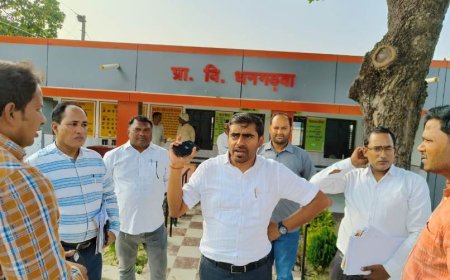 मुख्य विकास अधिकारी ने ग्राम पंचायत धनगढ़वा में प्राथमिक विद्यालय का किया निरीक्षण