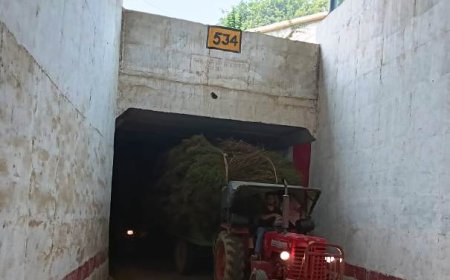दिन में भी अंधेरा रहता है जैंत-सहार मार्ग पर भूमिगत पुल के अंदर