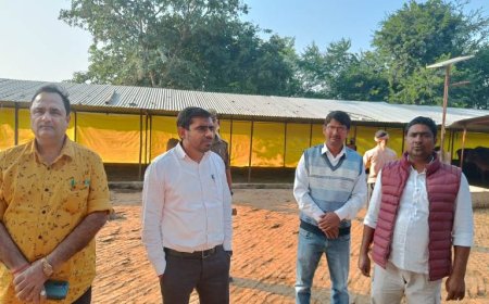 मुख्य विकास अधिकारी ने अस्थायी गोवंश आश्रय स्थल का किया निरीक्षण