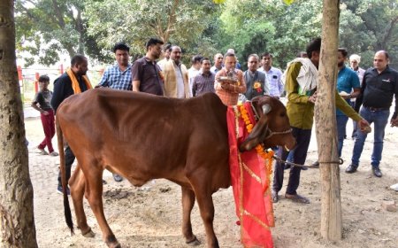 पशुधन जागृति अभियान अन्तर्गत आयोजित हुआ जागरूकता शिविर