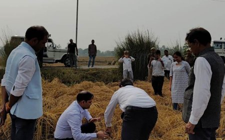 जनपद में धान की फसल का उत्पादन जानने को लेकर अपर जिलाधिकारी वित्त एवं राजस्व ने कराई क्राप कटिंग