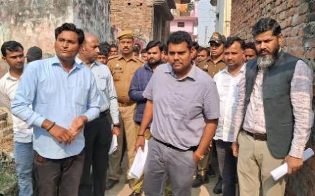 जिलाधिकारी ने विकास खण्ड बांसी में इंटरलाकिंग सड़क व आर0आर0सी0 सेन्टर का किया निरीक्षण