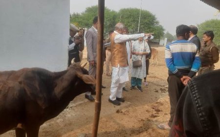 पशुधन मंत्री ने बीकेटी स्थित अस्थायी गौआश्रय स्थल किशुनपुर तथा उसराना का किया स्थलीय निरीक्षण