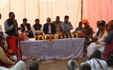 भाजपा जिला पंचायत अध्यक्ष ने किया सीसी रोड का शुभारम्भ