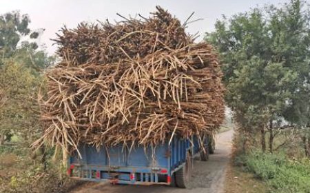 ओवरलोड ट्रकों से सड़कों पर बढ़ा खतरा, प्रशासन की लापरवाही बनी समस्या