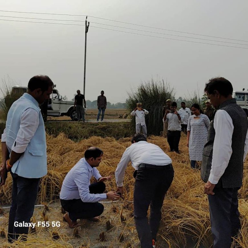 जनपद में धान की फसल का उत्पादन जानने को लेकर अपर जिलाधिकारी वित्त एवं राजस्व ने कराई क्राप कटिंग