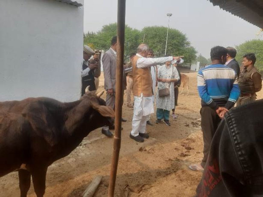 पशुधन मंत्री ने बीकेटी स्थित अस्थायी गौआश्रय स्थल किशुनपुर तथा उसराना का किया स्थलीय निरीक्षण