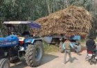 ओवरलोड गन्ना लदी ट्राली से बाल-बाल बचे राहगीर