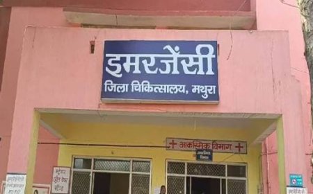 जिला अस्पताल के हाल खराब, बंदर और आवारा कुत्तों से मरीज और तीमारदार परेशान