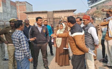 जिलाधिकारी ने नगर पालिका परिषद बांसी के विभिन्न विकास कार्यों का किया निरीक्षण