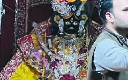 वृंदावन में प्रकट हुए ठाकुर बांकेबिहारी, भक्तों में छाया उल्लास; निधिवन में बजी बधाई