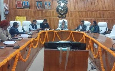 जिलाधिकारी ने विद्युत विभाग के अधिकारियों के साथ की बैठक