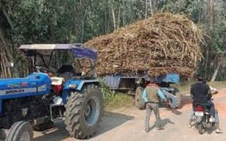 ओवरलोड गन्ना लदी ट्राली से बाल-बाल बचे राहगीर