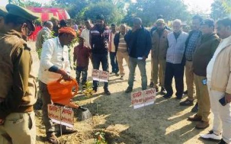 टेड़वाबसन्तपुर में आयोजित हुई वानिकी  कार्यों से सम्बन्धित गोष्ठी