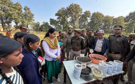 उपप्रभागीय वनाधिकारी की अध्यक्षता में वानिकी कार्य संबंधित गोष्ठी का हुआ आयोजन