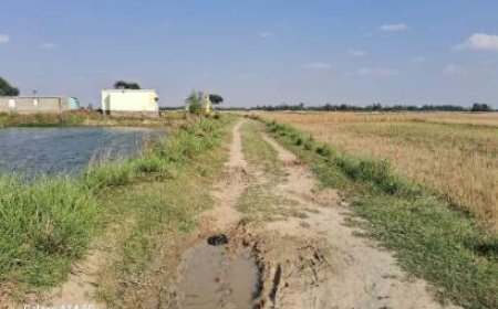 दयनीय सड़क की समस्या से जूझ रहे ग्रामीण