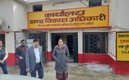 मुख्य विकास अधिकारी ने किया निरीक्षण