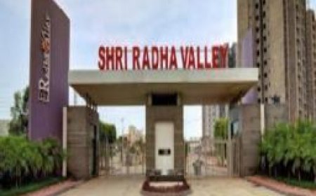 नामचीन कॉलोनी पर नौ करोड़ का बकाया, आखिर कब होगी कार्यवाही?