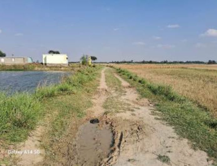 दयनीय सड़क की समस्या से जूझ रहे ग्रामीण