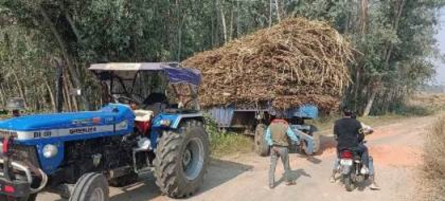 ओवरलोड गन्ना लदी ट्राली से बाल-बाल बचे राहगीर