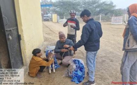 गौसेवा के भाव के साथ गोवंश संरक्षण के मिले अच्छे परिणाम - जिलाधिकारी