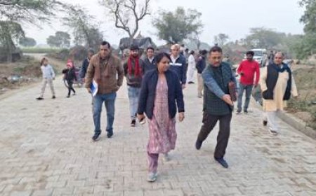 जिला पंचायत राज अधिकारी ने ग्राम पंचायत सेनवा का किया निरीक्षण