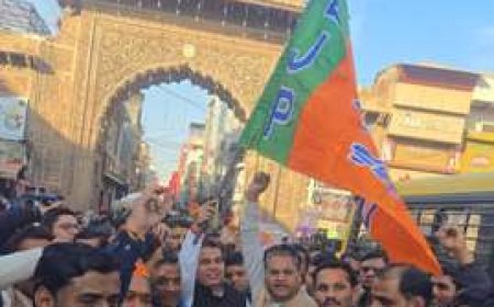 दिल्ली की जीत पर जश्न में डूबे भाजपाई