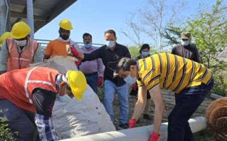 बरसाना में डीएम ने अधीनस्थों के साथ किया श्रमदान