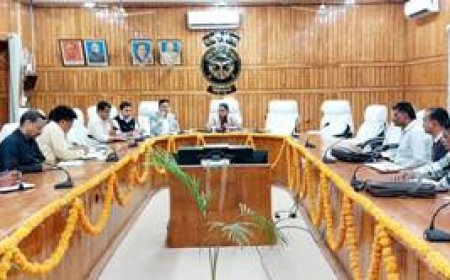 कुत्तों के हमलों की पुनरावृत्ति होने पर दण्डित होंगे अधिकारी  - जिलाधिकारी