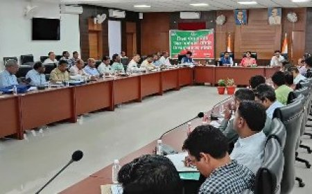 जिलाधिकारी की अध्यक्षता में जिला गंगा समिति एवं जिला वृक्षारोपण/पर्यावरण समिति की बैठक हुई आयोजित