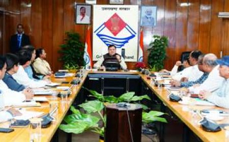 प्राकृतिक जल स्रोतों के संरक्षण और संवर्द्धन के लिए सीएम धामी ने दिए निर्देश