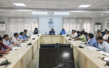 वृक्षारोपण अभियान-2025 को जन-आन्दोलन का रूप देने के लिए व्यापक रणनीति तैयार - जिलाधिकारी