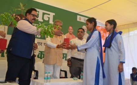 वन मंत्री ने त्रिवेणी वन की स्थापना कर वन महोत्सव 2025 का किया शुभारंभ