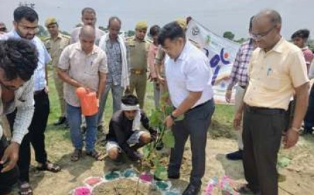 मनरेगा के माध्यम से ग्राम नदरोई में सघन वृक्षारोपण का भव्य शुभारंभ