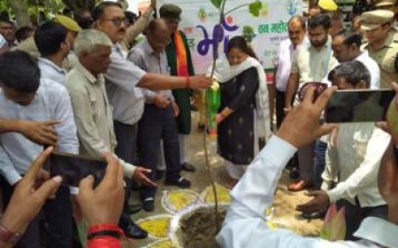 मंडलायुक्त ने बरहद में किया वृहद पौधारोपण, कुपोषण निवारण से जोड़ा अभियान