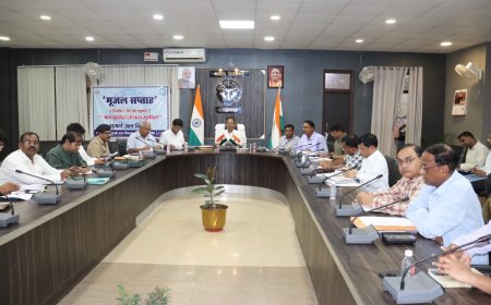 निर्धारित लक्ष्य के अनुसार शत-प्रतिशत वृक्षारोपण करायें - जिलाधिकारी