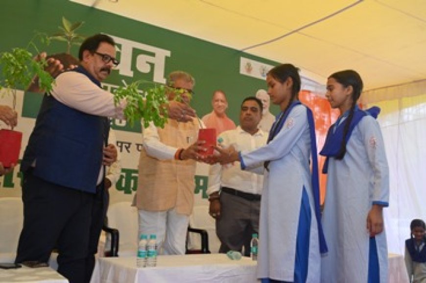 वन मंत्री ने त्रिवेणी वन की स्थापना कर वन महोत्सव 2025 का किया शुभारंभ