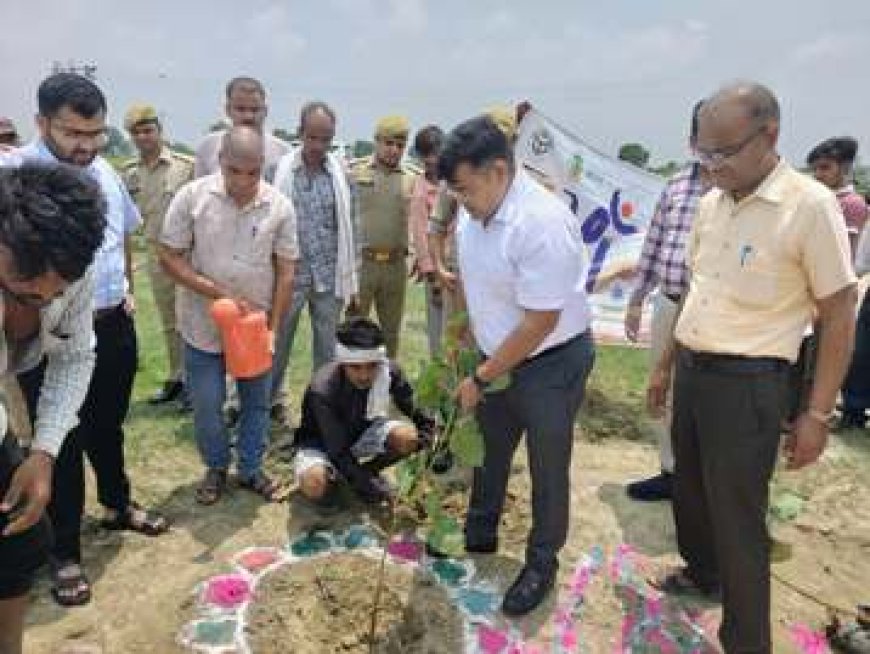 मनरेगा के माध्यम से ग्राम नदरोई में सघन वृक्षारोपण का भव्य शुभारंभ