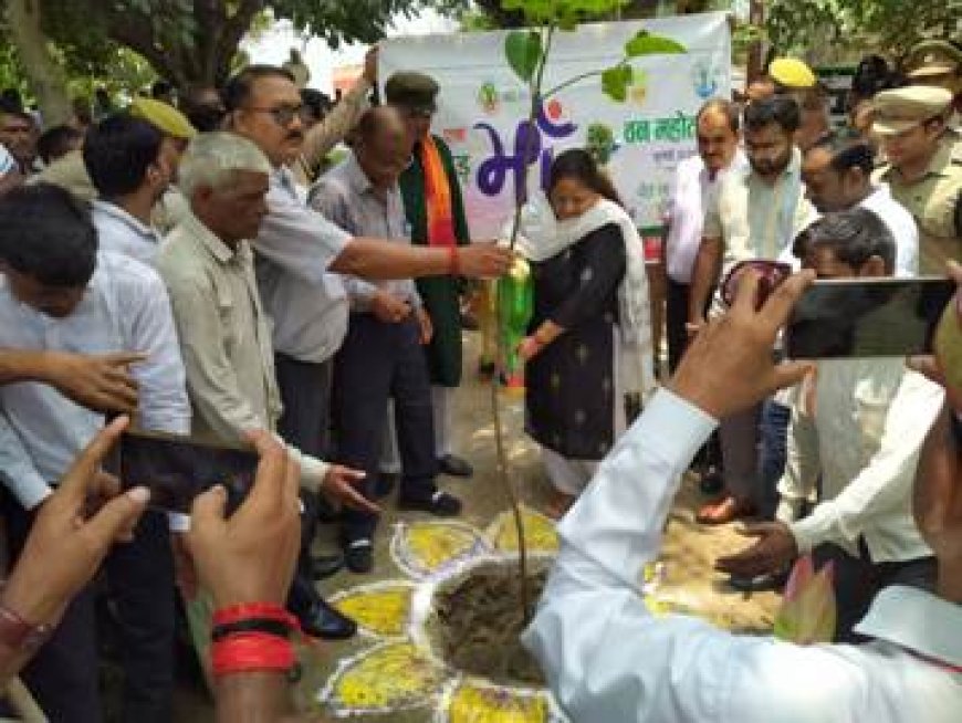 मंडलायुक्त ने बरहद में किया वृहद पौधारोपण, कुपोषण निवारण से जोड़ा अभियान