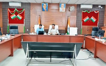 जिलाधिकारी की अध्यक्षता में आयोजित हुई जिला आयुष समिति की बैठक