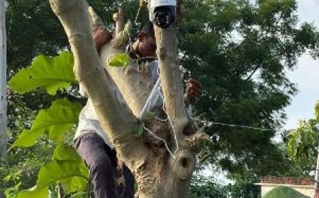 ट्रैप व सोलर सीसीटीवी कैमरों से हो रही वन्यजीव प्रभावी क्षेत्रों की निगरानी