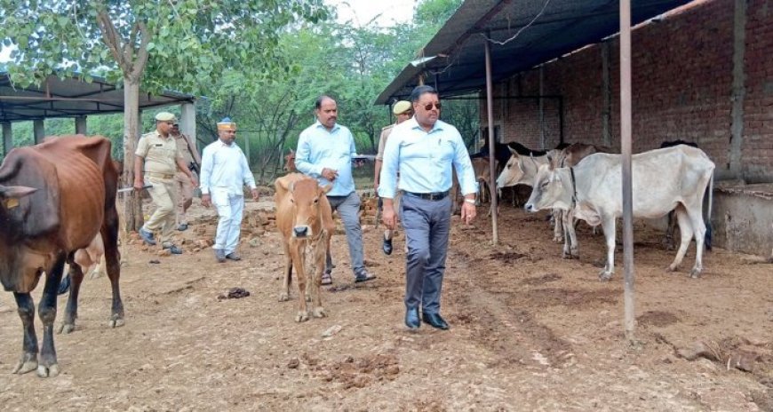 जिलाधिकारी ने अस्थायी गोवंश आश्रय स्थल बगाही का किया स्थलीय निरीक्षण