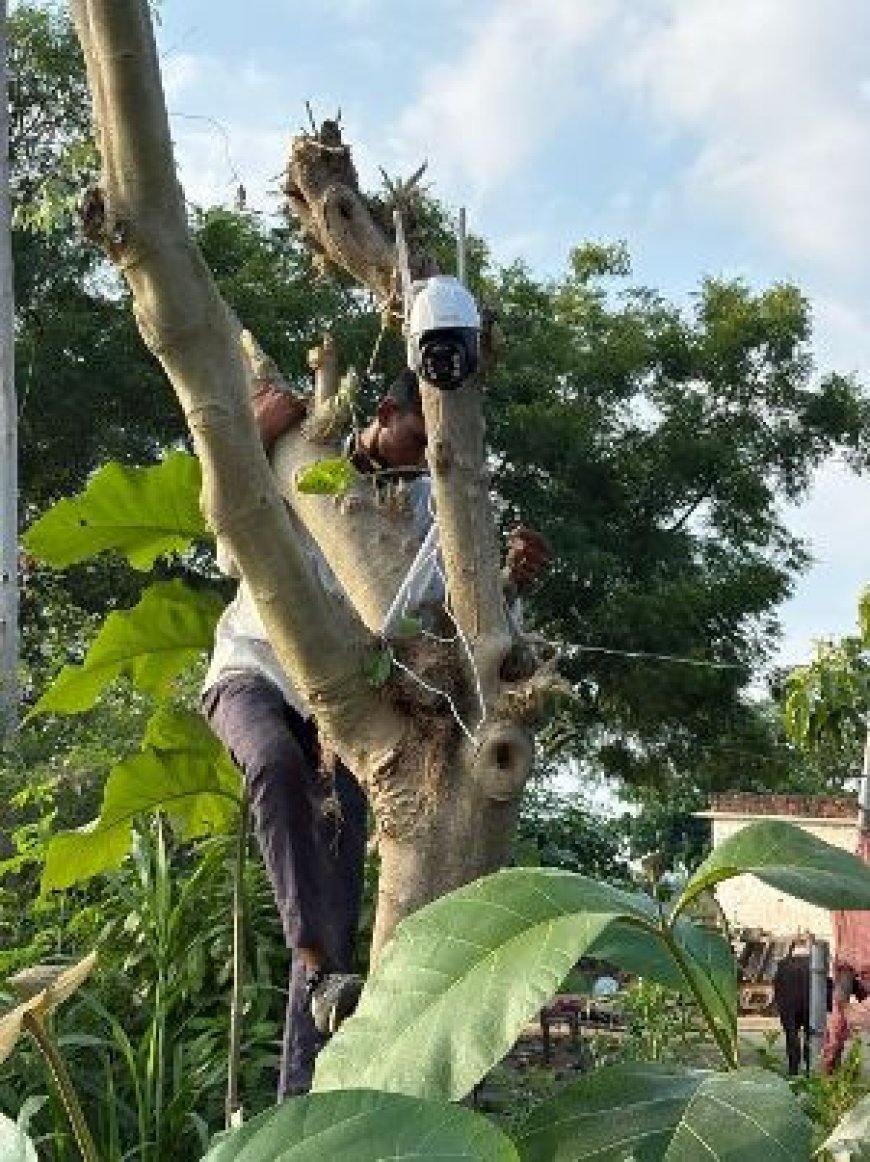 ट्रैप व सोलर सीसीटीवी कैमरों से हो रही वन्यजीव प्रभावी क्षेत्रों की निगरानी