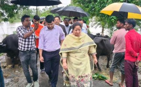 आयुक्त संगीता सिंह ने बाढ़ग्रस्त ग्रामों का किया निरीक्षण