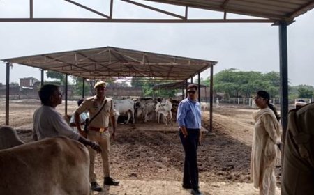 कच्ची नाली खुदवा कर गौशाला से जल निकासी का स्थायी प्रबन्ध करायें - जिलाधिकारी