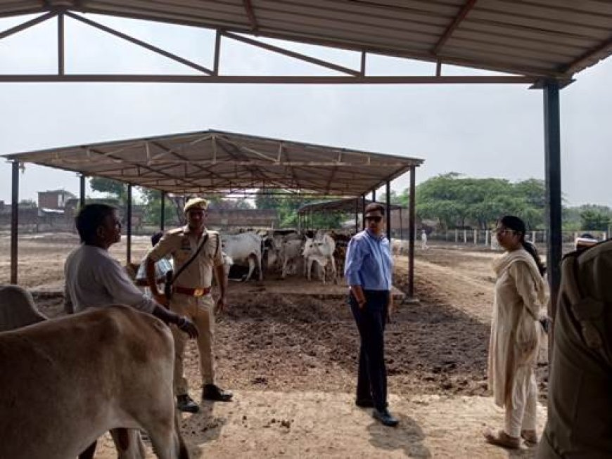 कच्ची नाली खुदवा कर गौशाला से जल निकासी का स्थायी प्रबन्ध करायें - जिलाधिकारी