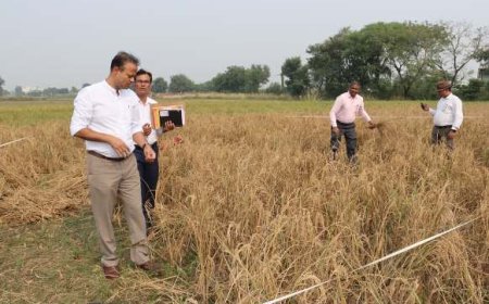 जिलाधिकारी ने कराई धान की उपज का सर्वे कराने के लिए क्रॉप कटिंग
