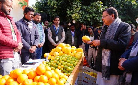 सीएम धामी ने किया उत्तराखंड माल्टा महोत्सव का शुभारंभ