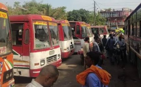 माघ मेले के लिए हमीरपुर से हर घंटे मिलेगी बस