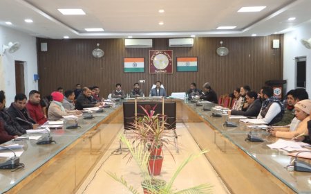 जिलाधिकारी ने की एनआरएलएम एवं मनरेगा के कार्यों की समीक्षा